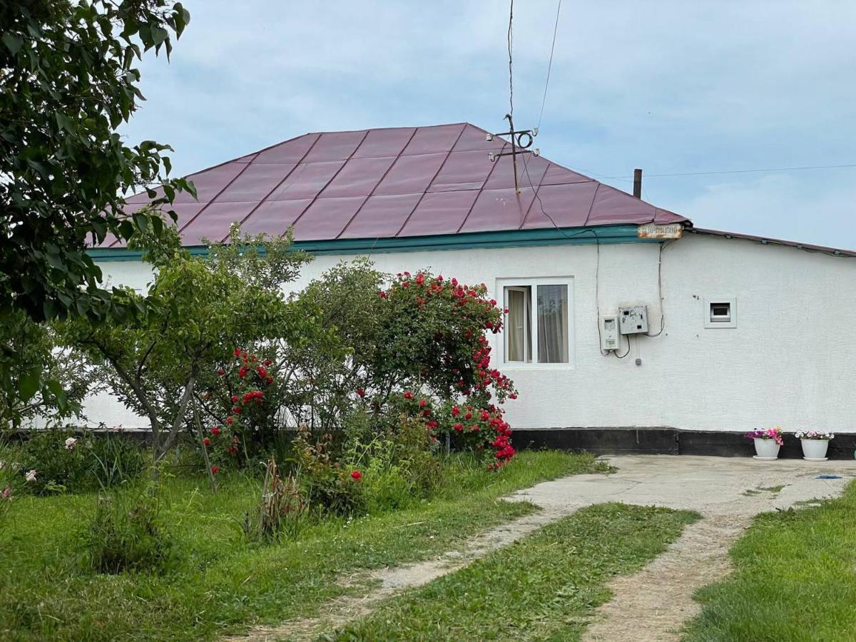 By River 246 Hotel Karakol Ngoại thất bức ảnh